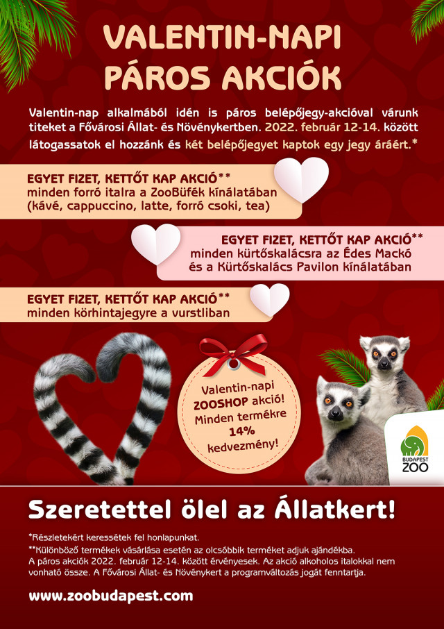 Valentin-napi páros akciók az Állatkertben