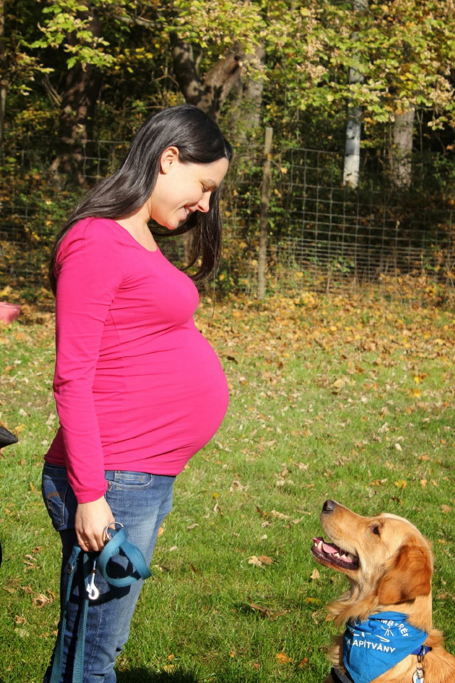 Terhesség kutya mellett