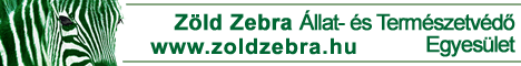Zöld Zebra Állat- és
            Természetvédő Egyesület