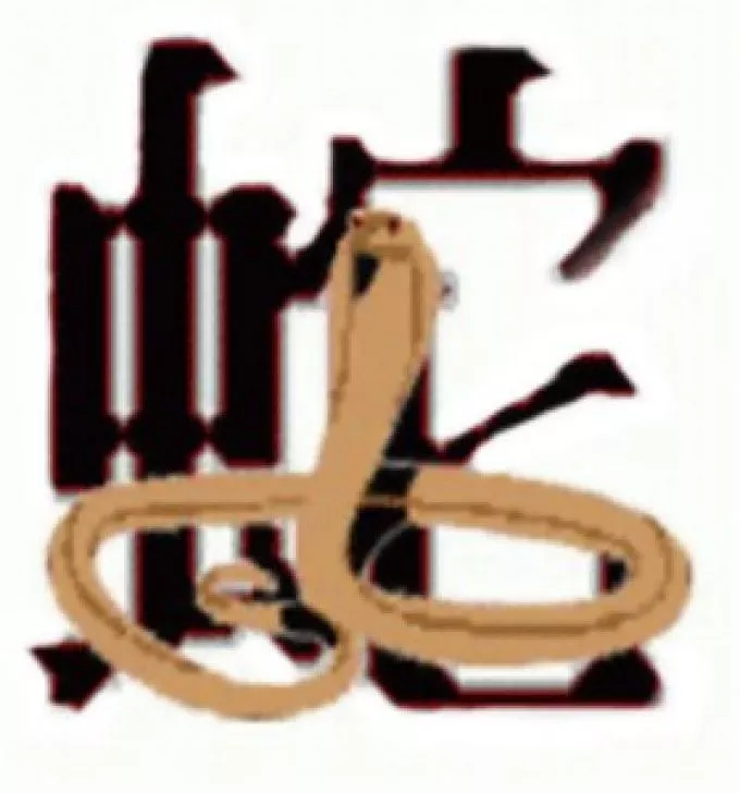 Kínai horoszkóp: Kígyó
