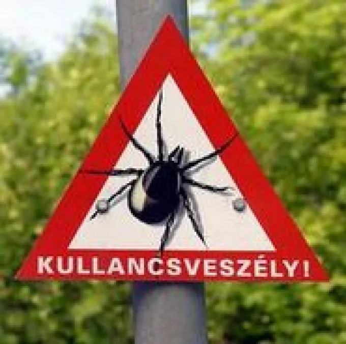 Vegyük fel a kesztyűt a Lyme-kórral!