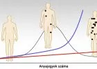 Átlagosan minden ötödik embert érint a bőrdaganat Magyarországon