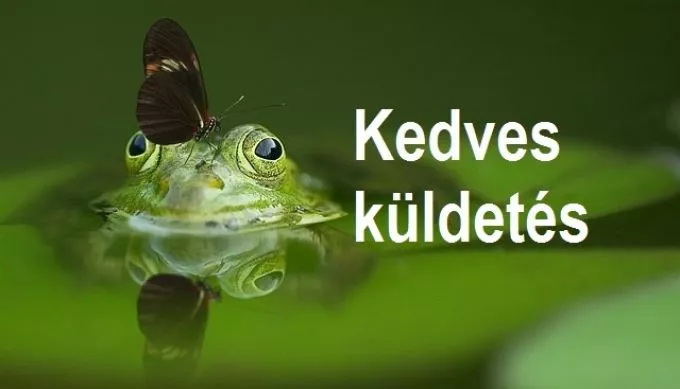 Kedves küldetés - Mert leszámolunk az elismerés koldulással!