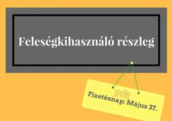 Családi vállalkozás csapdák: - Anyukám, te csak könyvelgess! 