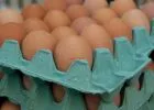 Magyarországra is érkezett fipronillal szennyezett tojás és tojástermék