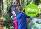 Mesél az erdő: 10 csodaszép hazai meseösvény - nem csak gyerekeknek!