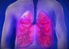 A légutak mérete összefügghet a COPD kialakulásával - nem csak a dohányosokat fenyegeti a COPD