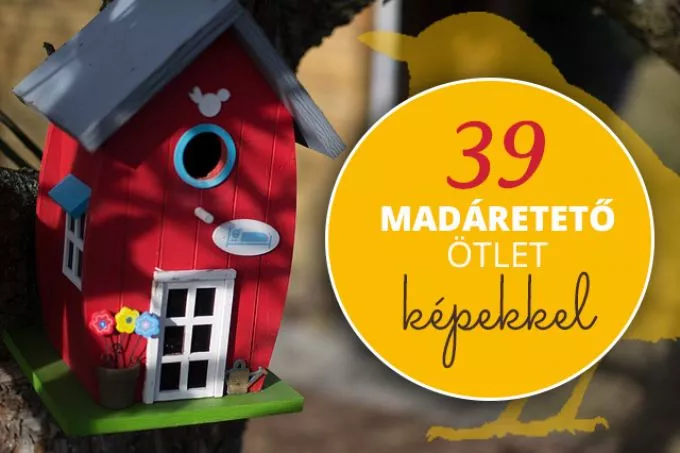 Madáretető készítés házilag: 39 fotó, amiből ötletet meríthetsz