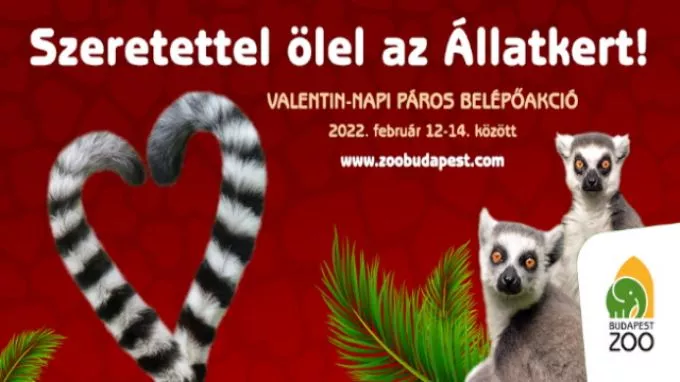 Valentin-napi páros kedvezmények az Állatkertben - Szombattól hétfőig ketten egy jegy áráért látogathatják a városligeti intézményt