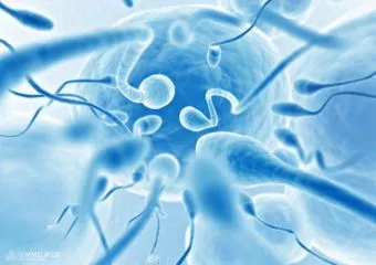 Hanyatlik a férfi nemzőképesség: ezek a fő rizikófaktorok, melyek ronthatják a spermiumok funkcióját