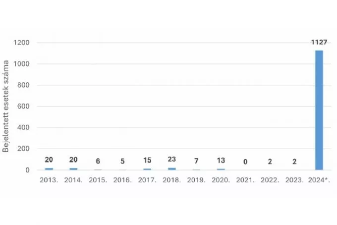 Drámai ugrás 2024-ben: terjed a rendkívül fertőző szamárköhögés