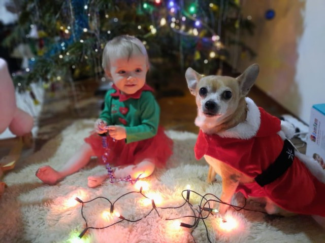 karácsonyfa mellett baba