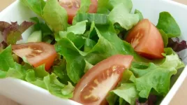 Fejes saláta receptek